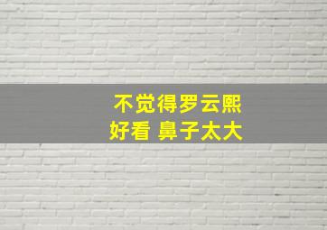 不觉得罗云熙好看 鼻子太大